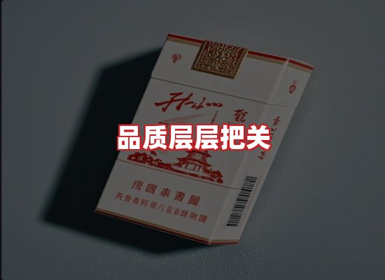 专业团队